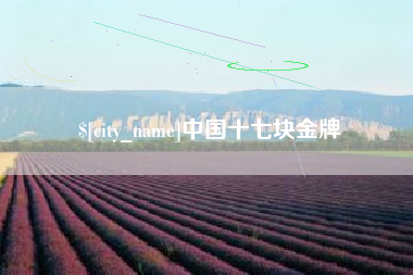 济源中国十七块金牌