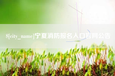 济源宁夏消防报名入口官网公告