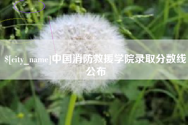 济源中国消防救援学院录取分数线公布