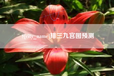 济源排三九宫图预测