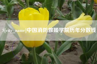 济源中国消防救援学院历年分数线
