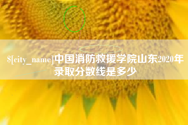 济源中国消防救援学院山东2020年录取分数线是多少