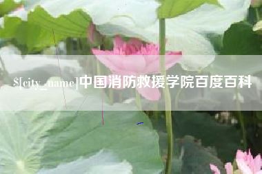 济源中国消防救援学院百度百科