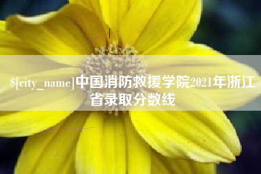 济源中国消防救援学院2021年浙江省录取分数线