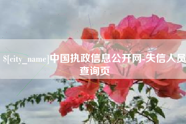 济源中国执政信息公开网-失信人员查询页