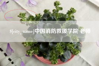 济源中国消防救援学院 老师