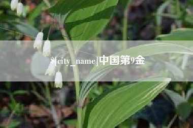 济源中国第9金