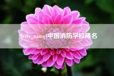 济源中国消防学校排名