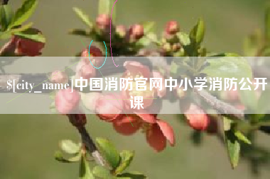 济源中国消防官网中小学消防公开课