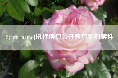 济源执行信息公开网查到的案件