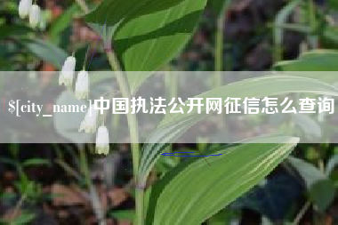 济源中国执法公开网征信怎么查询