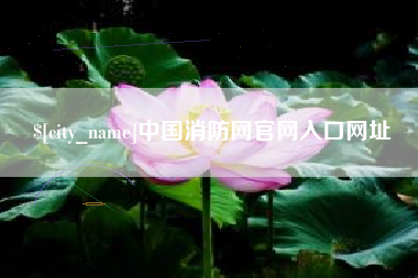 济源中国消防网官网入口网址
