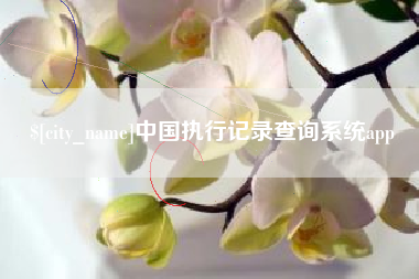 济源中国执行记录查询系统app