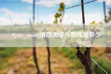 济源消防大学分数线是多少