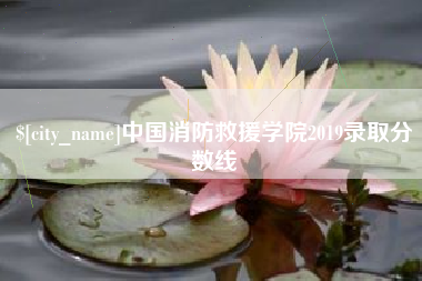 济源中国消防救援学院2019录取分数线