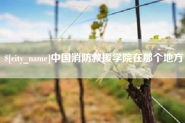 济源中国消防救援学院在那个地方