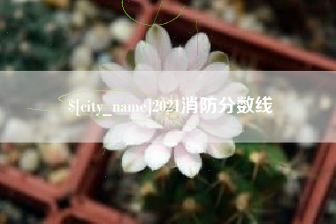 济源2021消防分数线