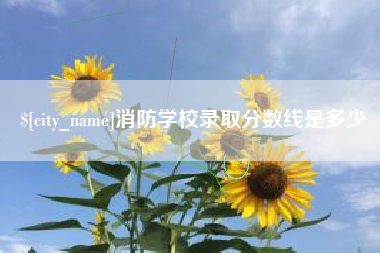 济源消防学校录取分数线是多少