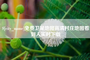 济源免费卫星地图高清村庄地图看到人实时下载