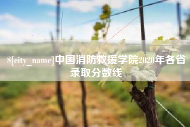 济源中国消防救援学院2020年各省录取分数线