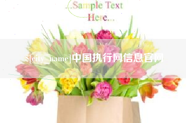 济源中国执行网信息官网