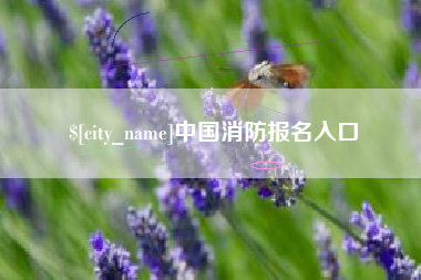 济源中国消防报名入口