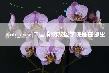 济源中国消防救援学院是在哪里