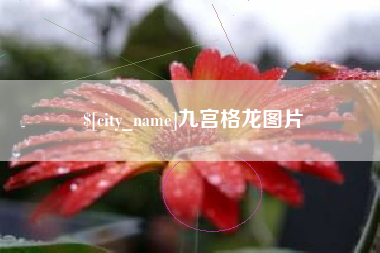 济源九宫格龙图片