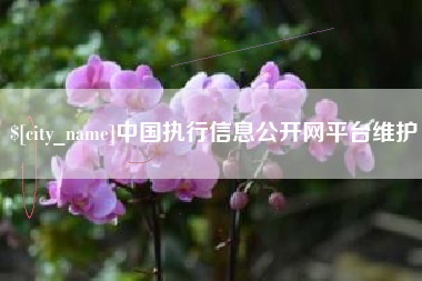济源中国执行信息公开网平台维护