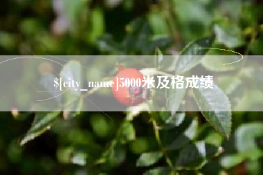 济源5000米及格成绩