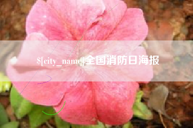 济源全国消防日海报