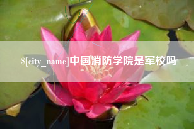 济源中国消防学院是军校吗