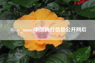 济源中国执行信息公开网后