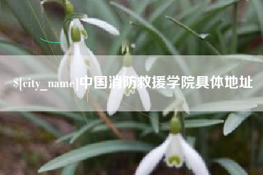 济源中国消防救援学院具体地址