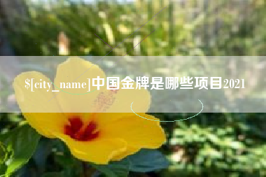 济源中国金牌是哪些项目2021