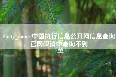 济源中国执行信息公开网信息查询官网限消中查询不到