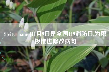 济源11月9日是全国119消防日,为积极推进修改病句