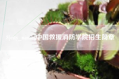 济源中国救援消防学院招生简章