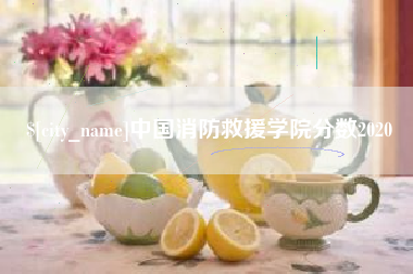 济源中国消防救援学院分数2020