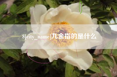 济源九金指的是什么