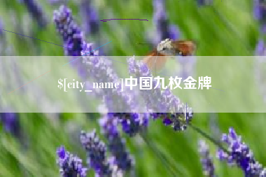 济源中国九枚金牌