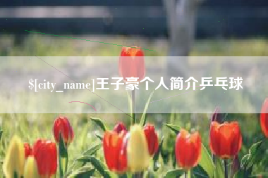 济源王子豪个人简介乒乓球