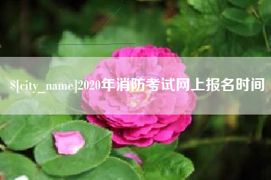 济源2020年消防考试网上报名时间