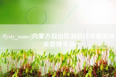 济源内蒙古自治区消防技术服务执业管理平台