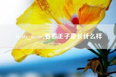 济源看看王子豪长什么样