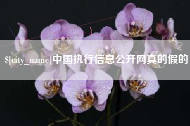 济源中国执行信息公开网真的假的