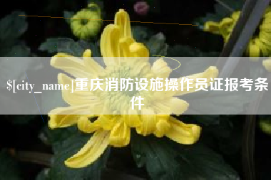 济源重庆消防设施操作员证报考条件