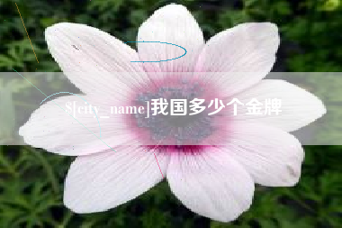 济源我国多少个金牌