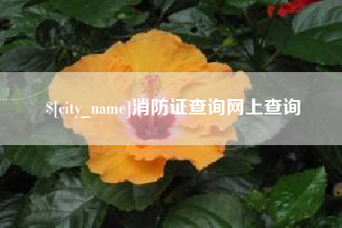 济源消防证查询网上查询
