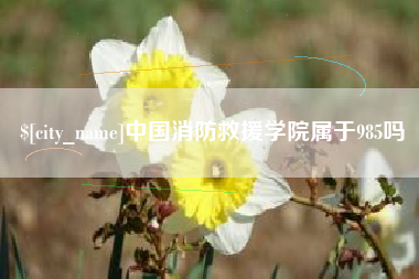 济源中国消防救援学院属于985吗